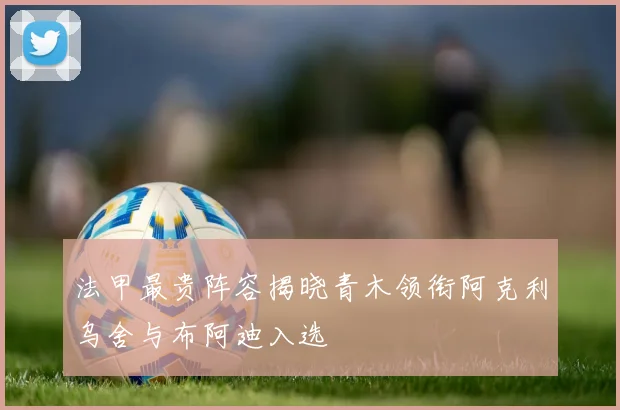 法甲最贵阵容揭晓青木领衔阿克利乌舍与布阿迪入选