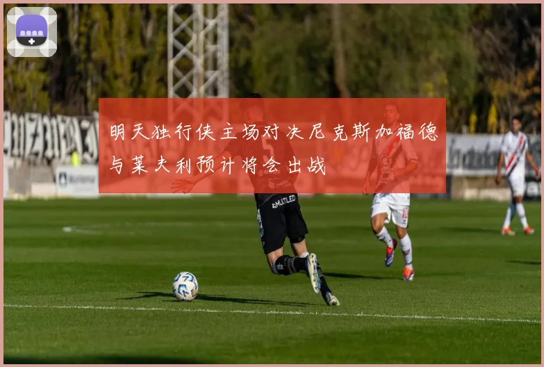 明天独行侠主场对决尼克斯加福德与莱夫利预计将会出战