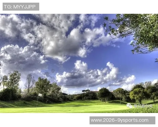 科威特支付350万欧元成功获得法国超级杯承办权 科威特支付350万欧元成功获得法国超级杯承办权